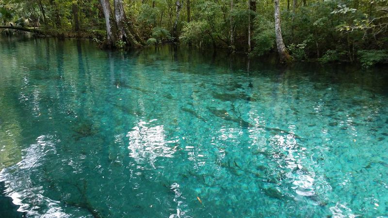 Techniques For Measuring Water Transparency In Rivers