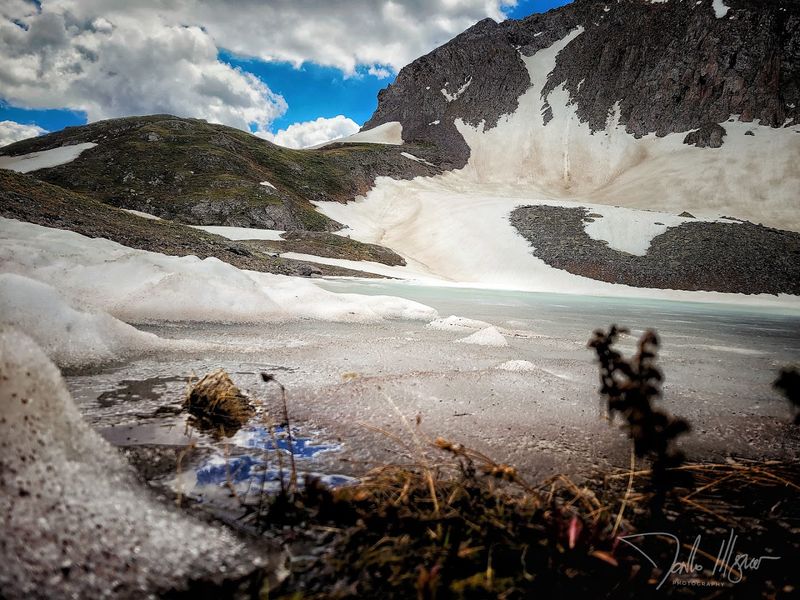 Surrounding Flora And Its Impact On Water