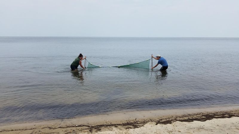 Peaceful Fishing Spots Along The Coast