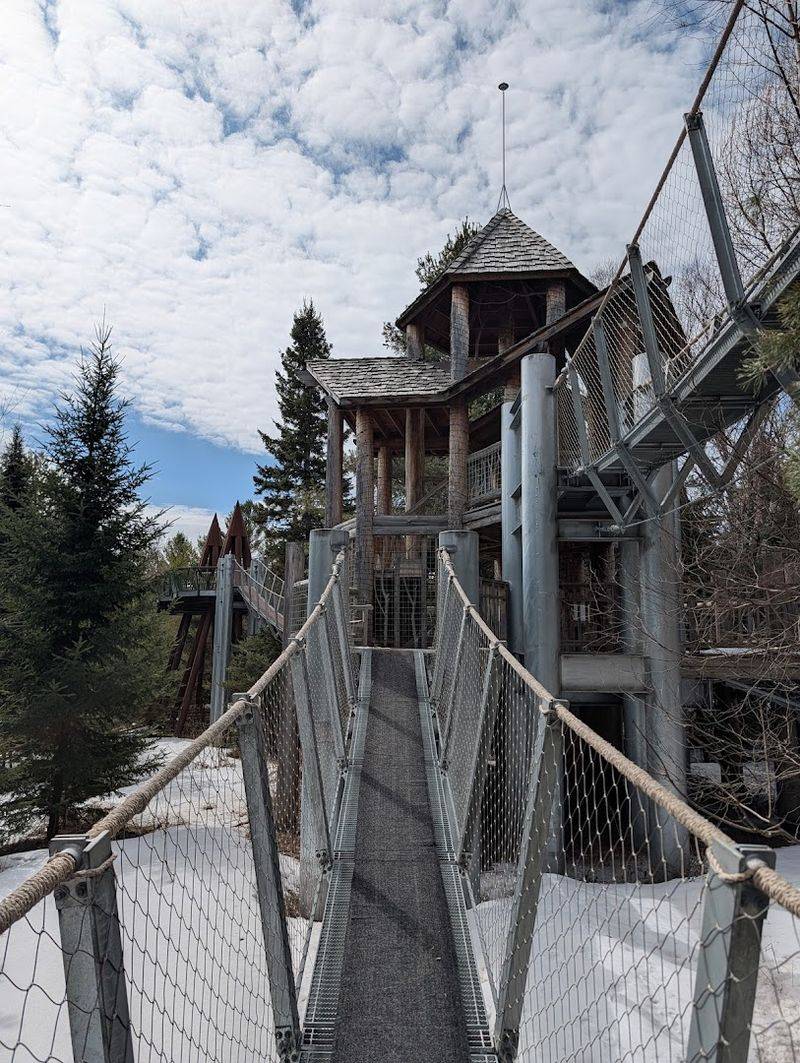 The Wild Center Art Installations — Tupper Lake