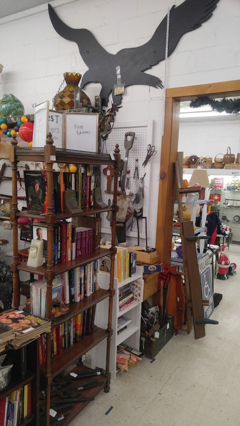 Vinyl Records And Books For The Deeply Curious Reader