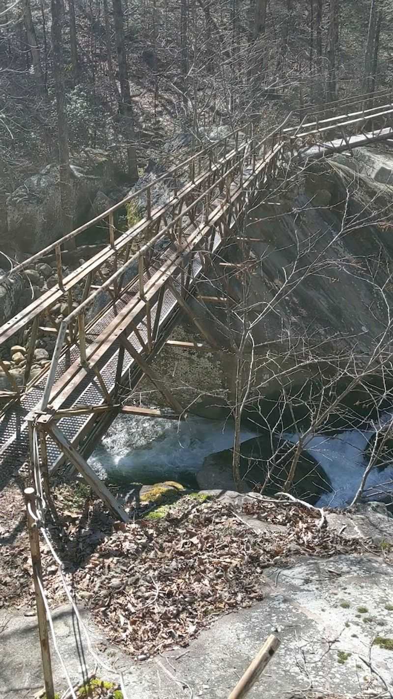 Laurel Snow Pocket Wilderness, Dayton