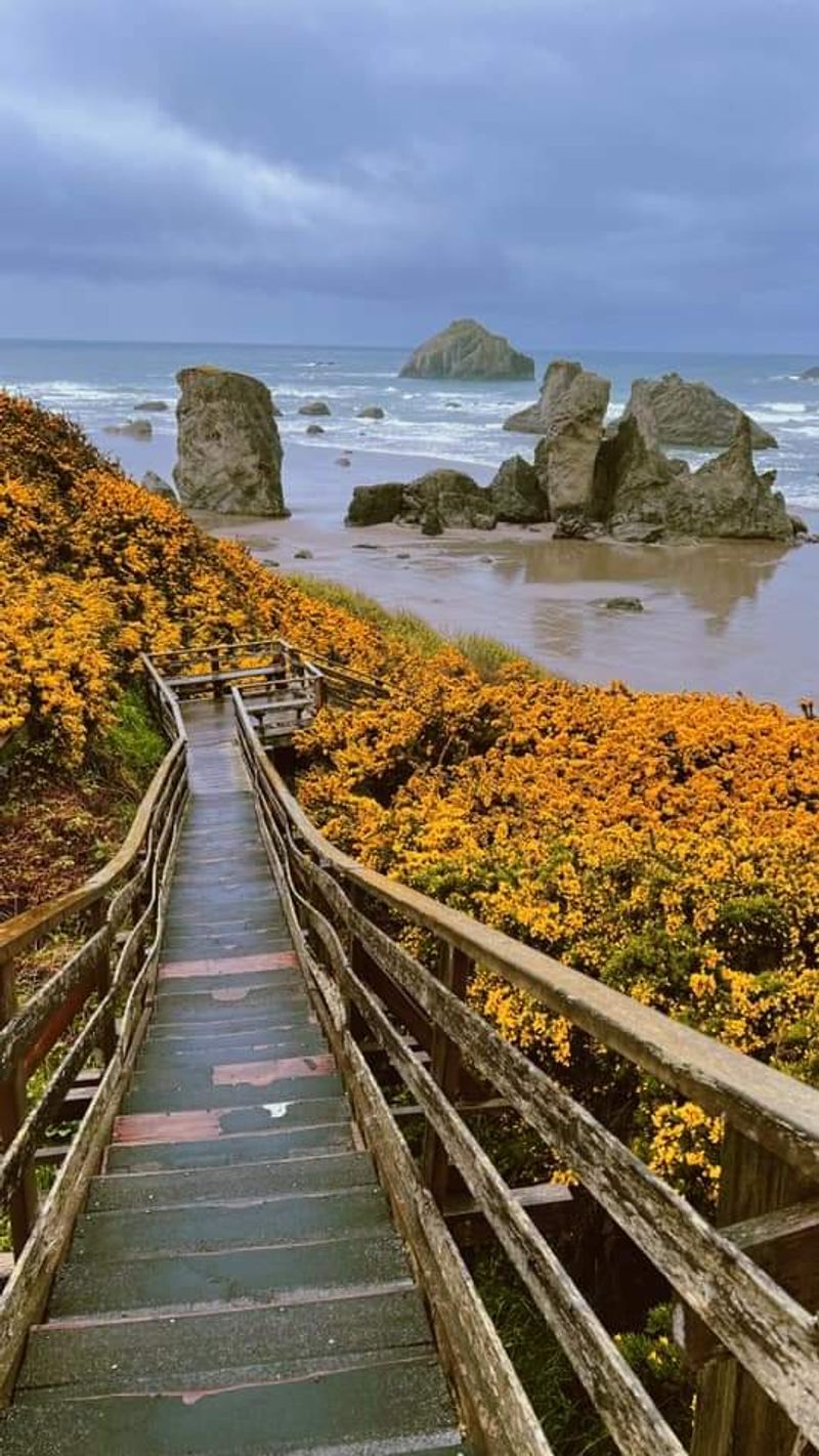 Bandon