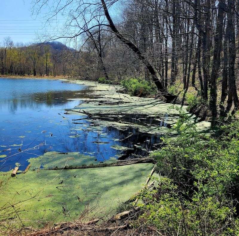 Hike Radnor Lake State Park, Nashville