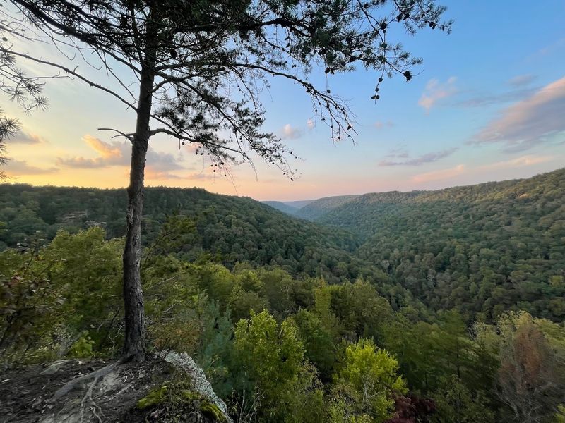 Explore The Savage Gulf Wilderness, Gruetli-Laager