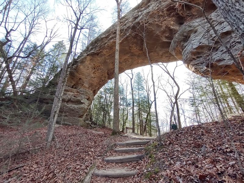 Hike Big South Fork Trails From Oneida, Oneida