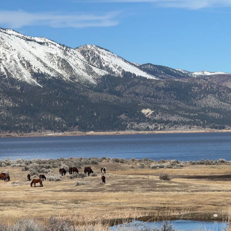 Washoe Lake State Park (Carson City)