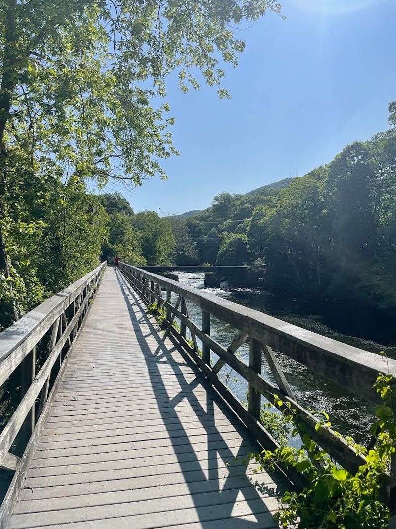Madam Brett Park Boardwalk