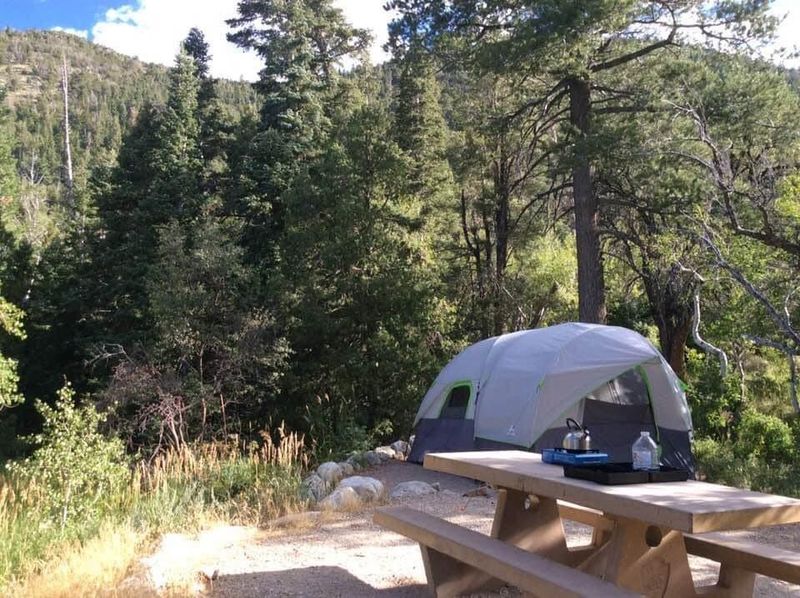 Upper Lehman Creek Campground (Baker)