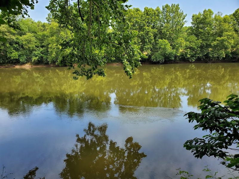 Picnic Spots And Family-Friendly Areas