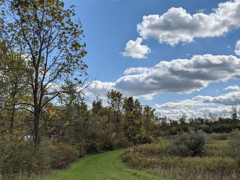 Walking Trails And Hiking Opportunities