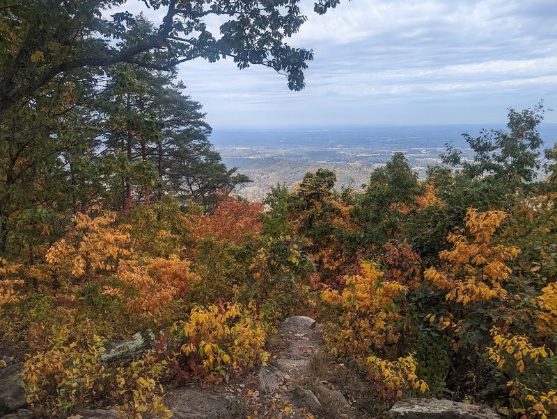 Fall Colors From This Overlook Are In A Category Of Their Own
