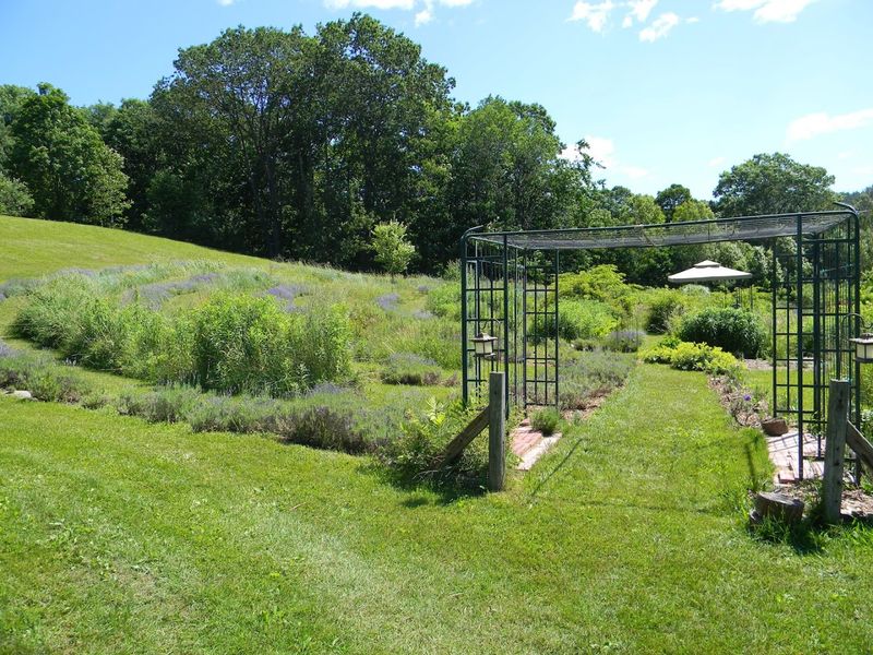 The Peaceful Walking Trails That Invite Genuine Exploration