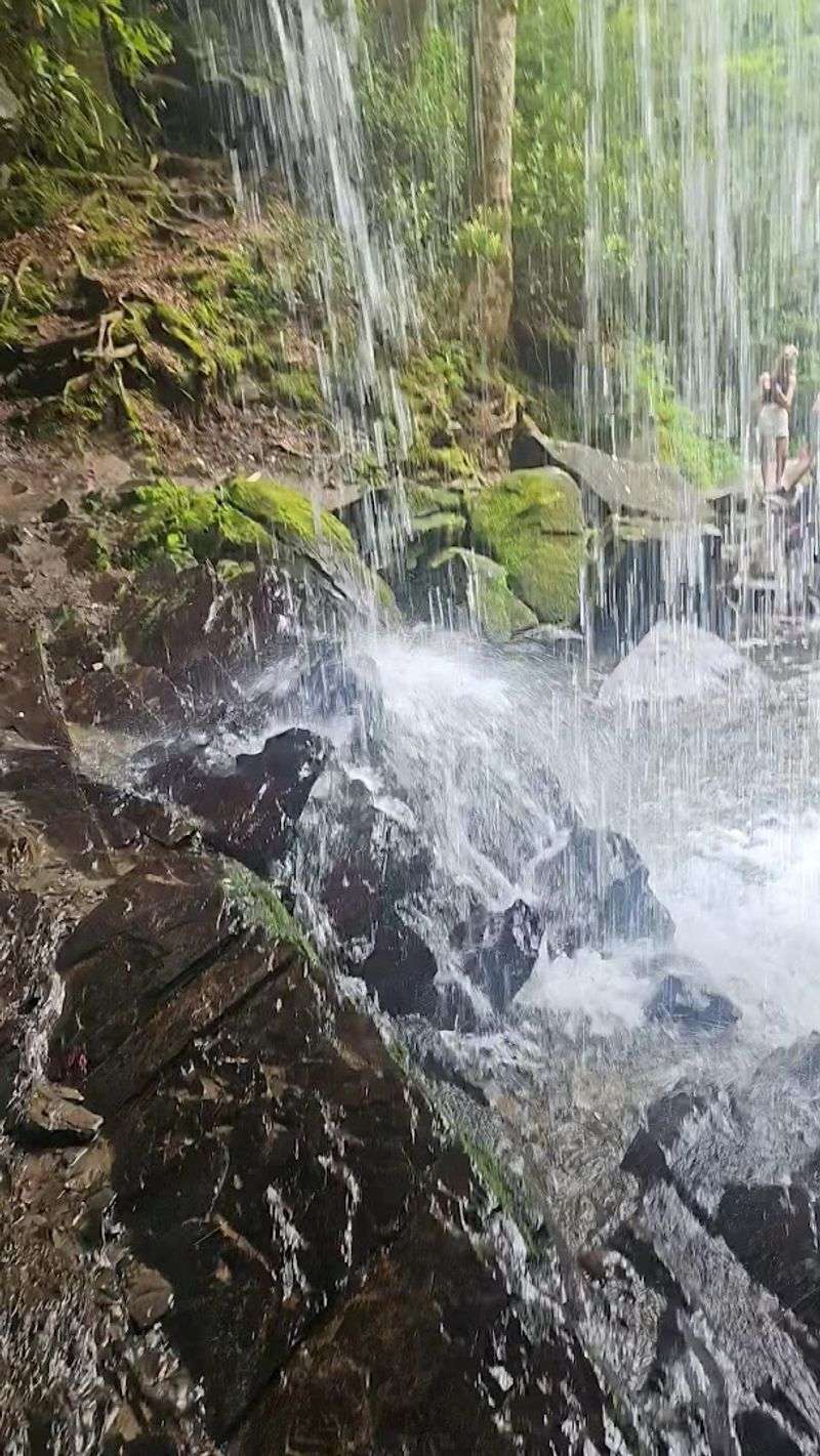 The Waterfall Itself And What To Expect