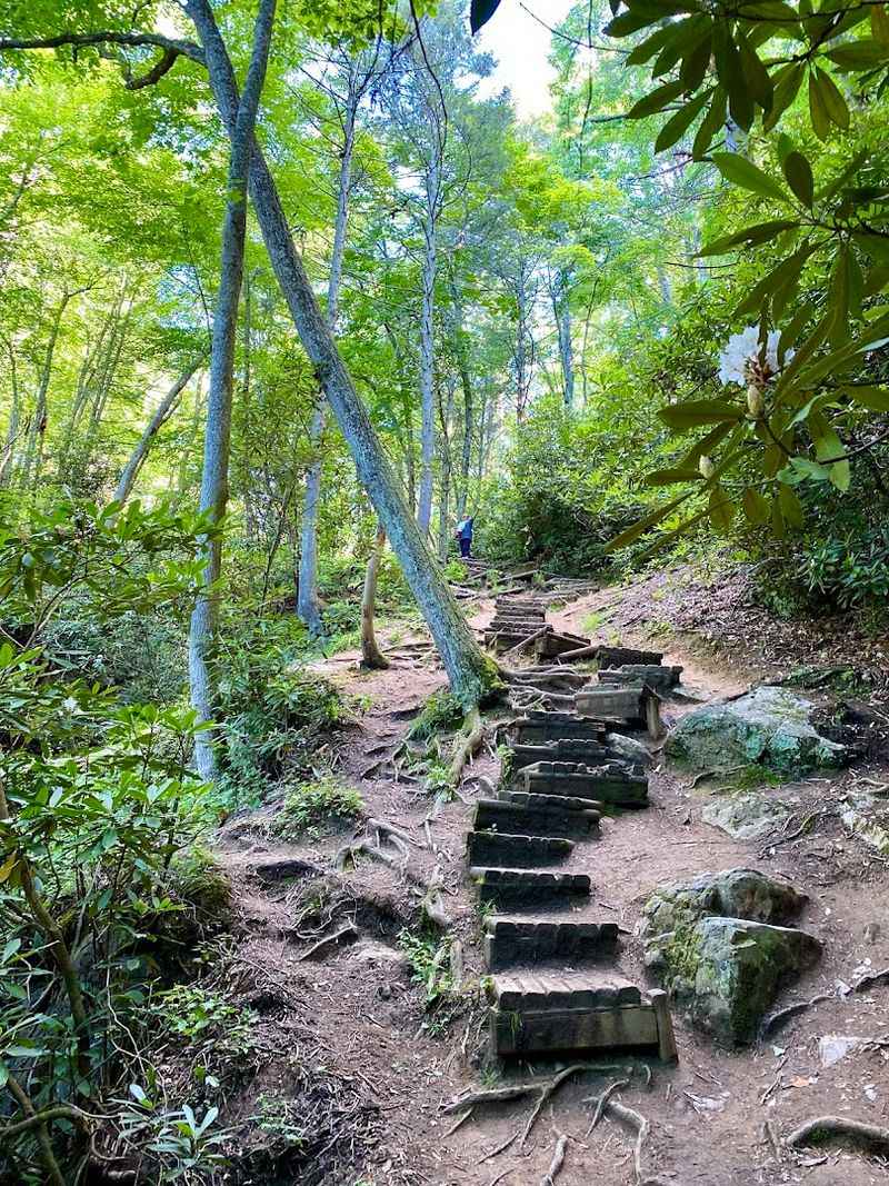 The Trail Down To The Water And What To Expect