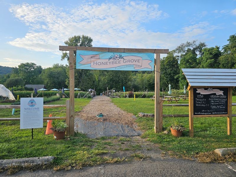 Honeybee Grove Flower Farm And Where To Find It