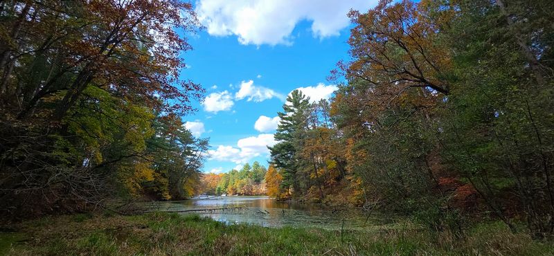 A Calm Lakeside View Without A Long Hike