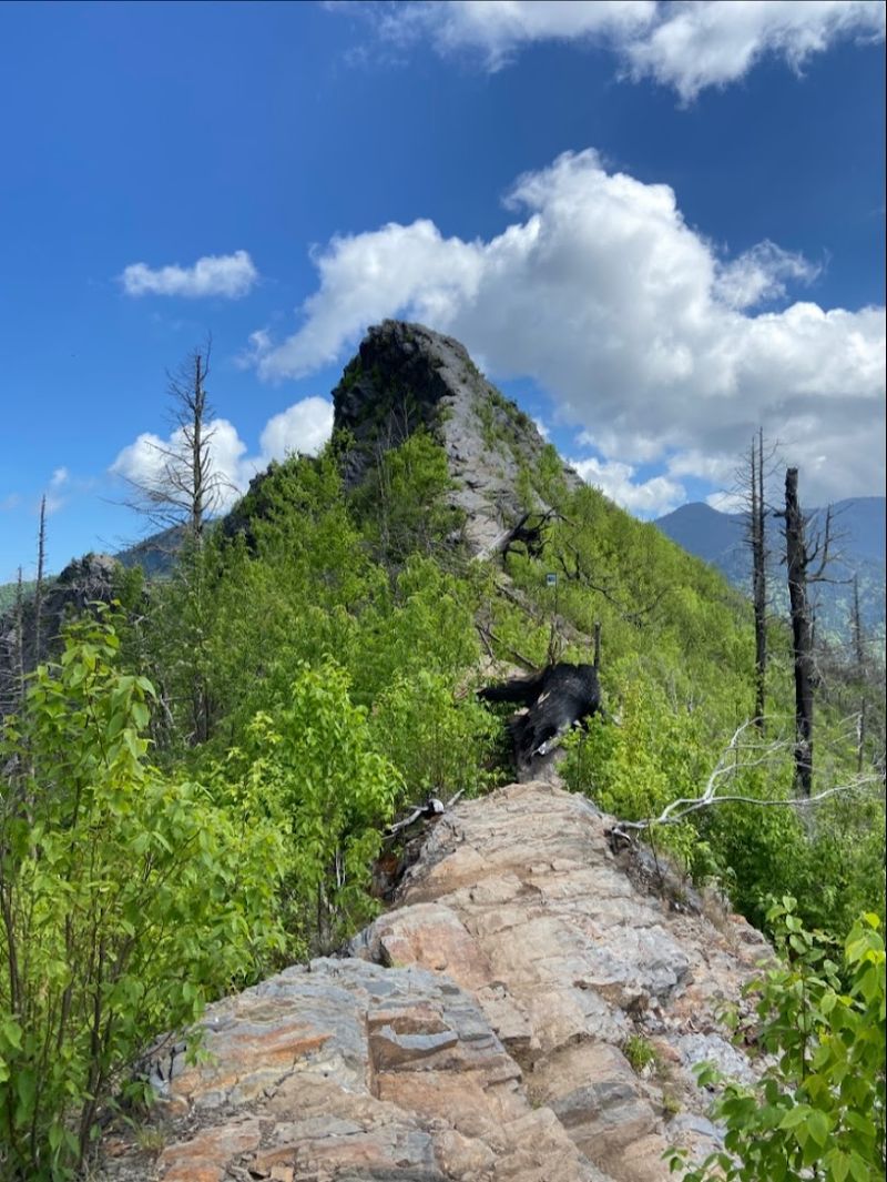 Panoramic Views That Make Every Step Worth The Effort