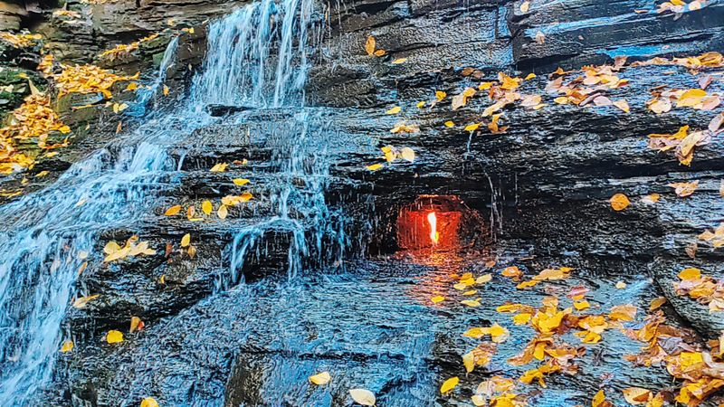 Chestnut Ridge Park And The Shale Creek Preserve Setting