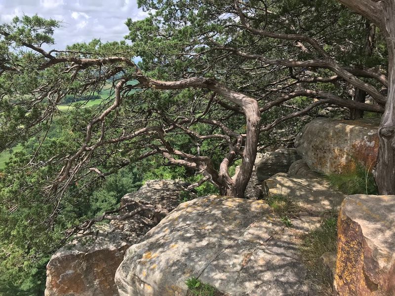 Why This Scenic Wisconsin Spot Belongs On Your Hiking List