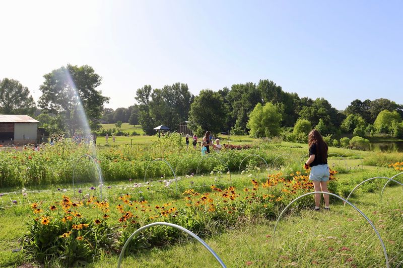 Twelve2 Farm U-Pick Is The Real Deal In Canton