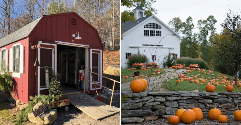 Where To Buy Farm-Fresh Meat In Connecticut Grocery Stores With The Best Value Deals