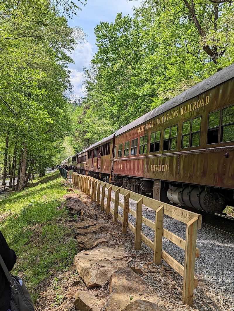 The Tuckasegee River Excursion Route