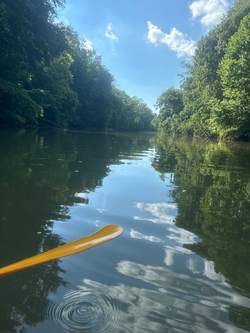 The Harpeth River Float Experience From Start To Finish
