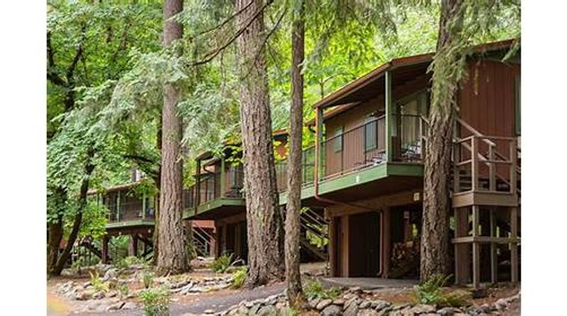 Unique Cooking Styles Featured In Lodges