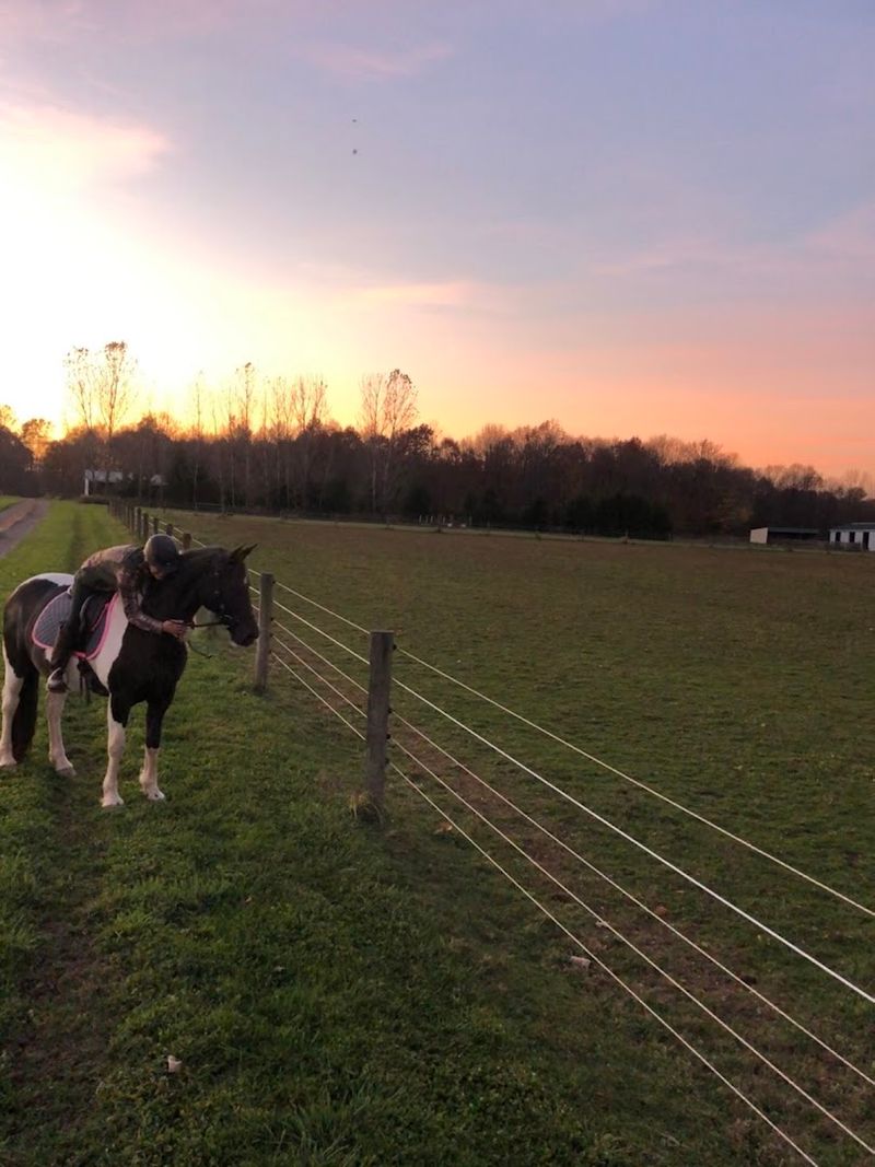 Rocking W Stables (Milton)