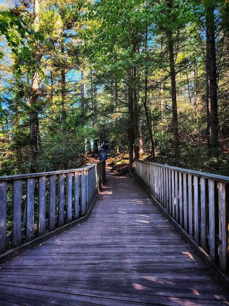 Safety Tips For Solo Hikers