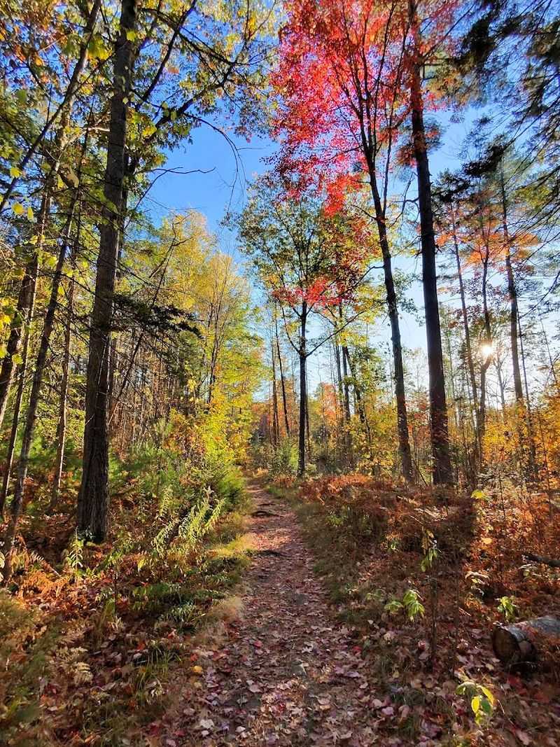 Access To Nature Trails And Hiking Opportunities