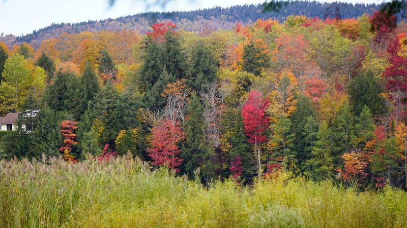 Local Flora And Fauna To Discover
