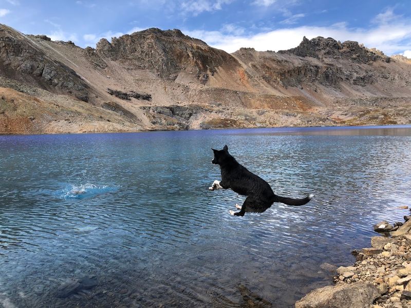 Recreational Activities Suitable For Clear Lakes