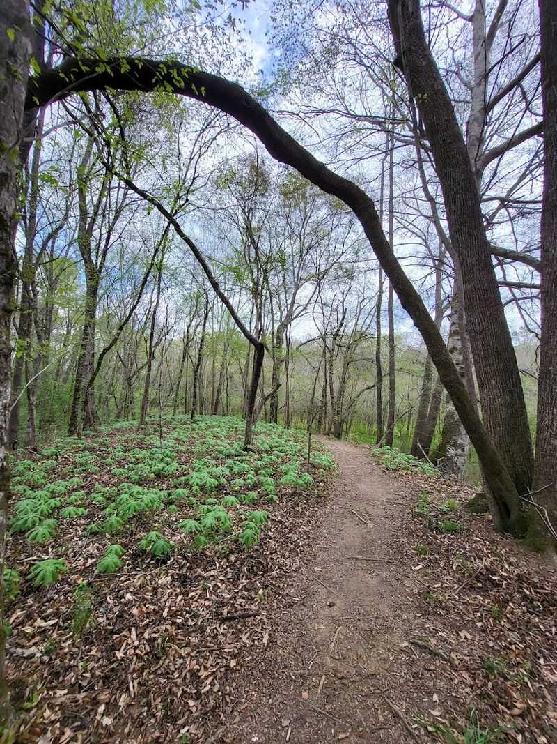 Trails And Hiking Routes To Experience