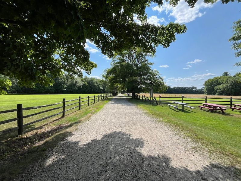 Picnicking And Open Lawns Perfect For Families