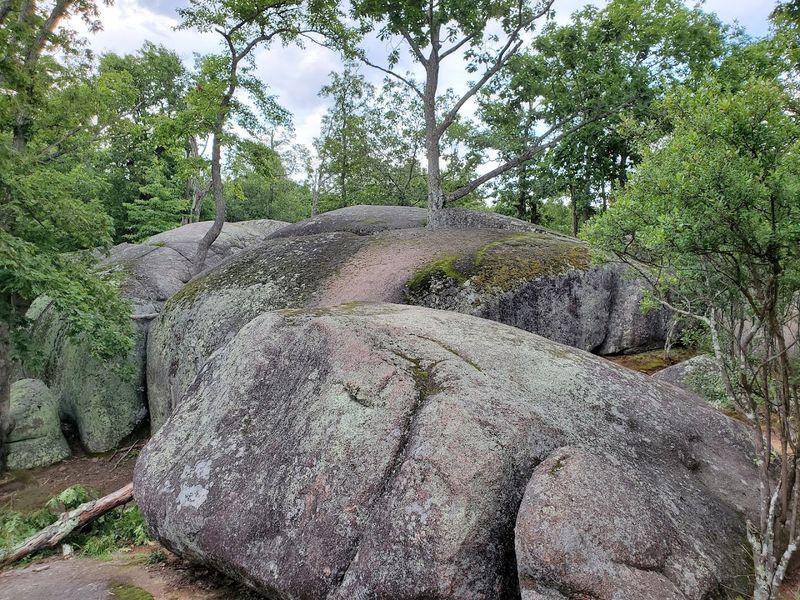 Best Hiking Trails For Experiencing Quiet Nature