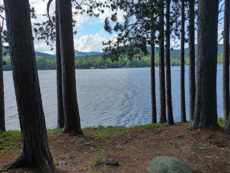 The Crisp Mountain Air And What It Actually Does To You