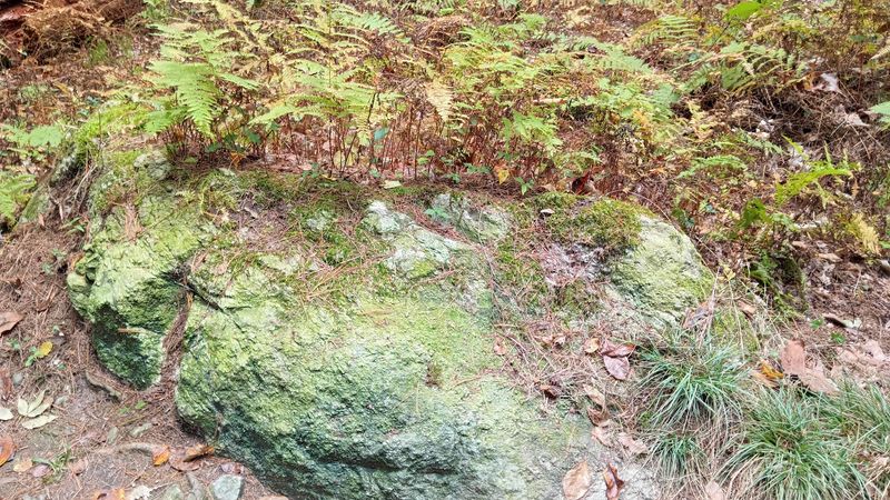 The Ames Boulder And Its Appeal To Climbers