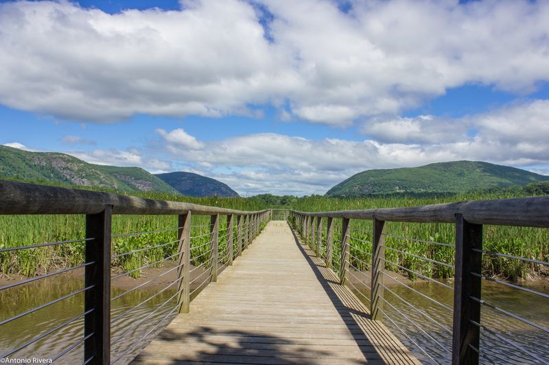 Constitution Marsh Audubon Center And Sanctuary