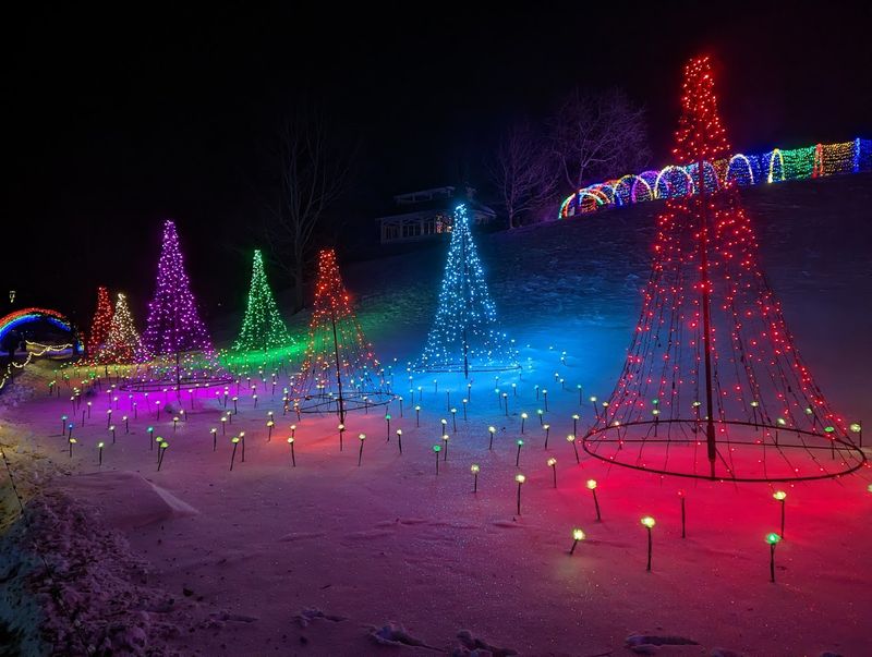 The WPS Garden Of Lights Has Over 300,000 Lights