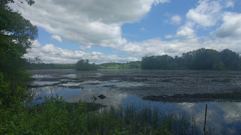 Paddling And Fishing On Leach Pond