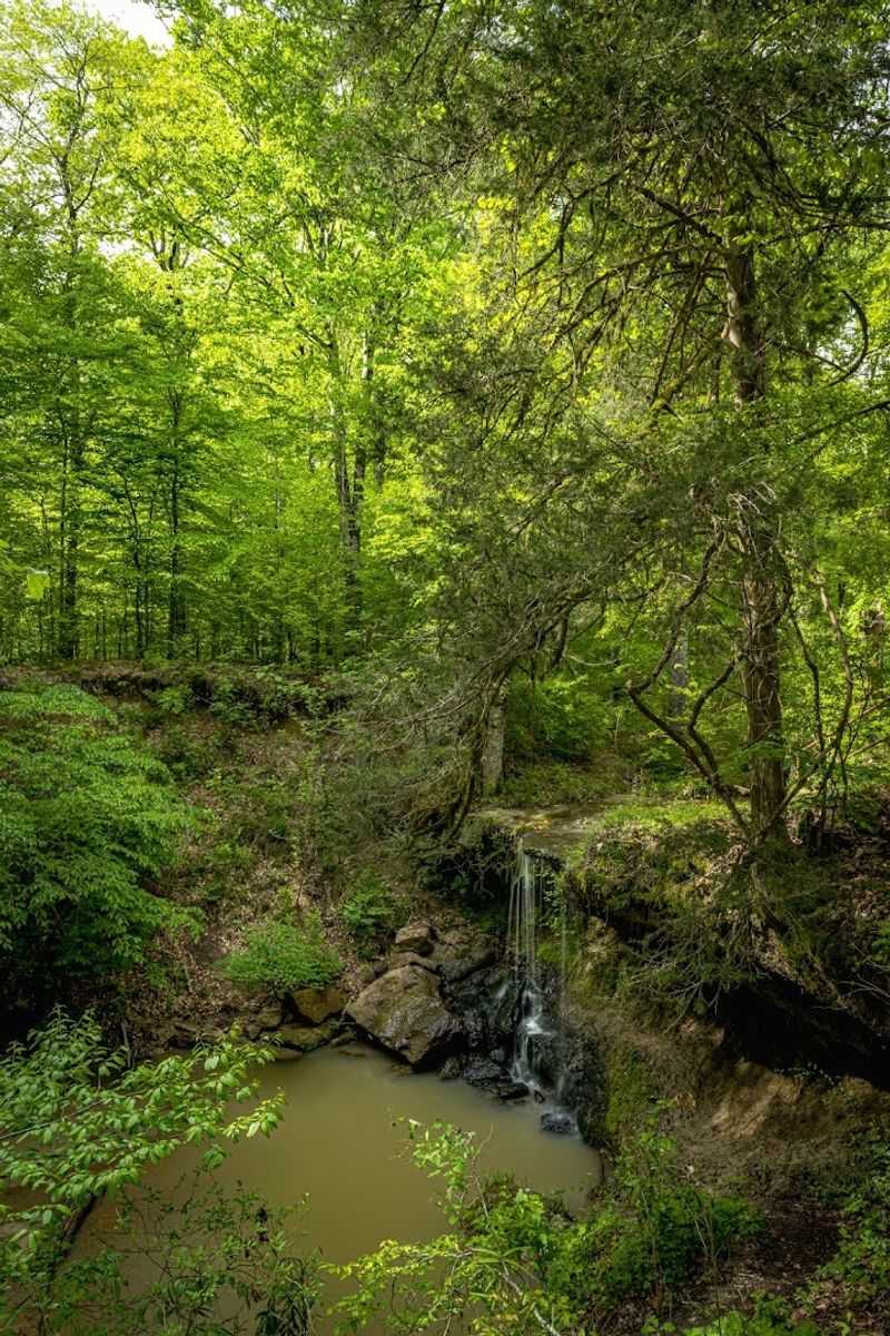 Owens Creek Waterfall