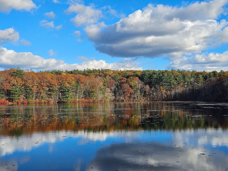 The Autumn Foliage Experience That Rivals Anywhere In New England