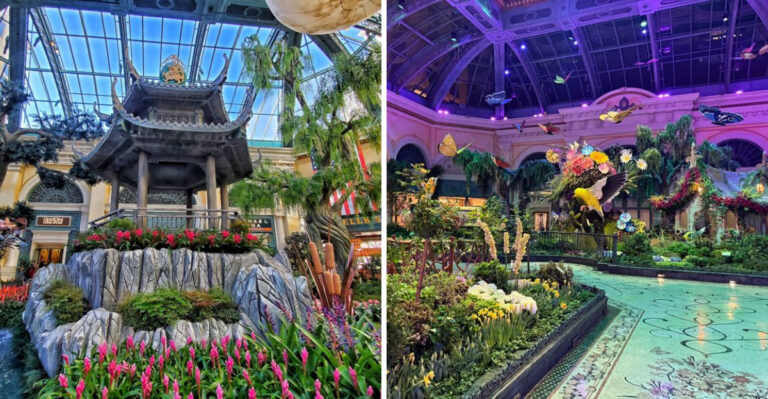 You’d Never Guess This Stunning Nevada Botanical Garden Won’t Cost You A Dime