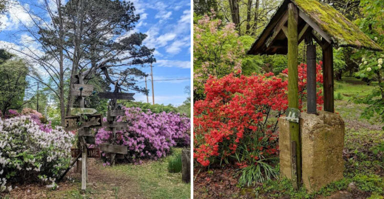 You’ll Never Forget Your First Visit To This Magical Botanical Garden In Tennessee