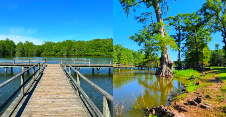 10 Affordable Mississippi Road Trips That Feel Like A Whole Vacation On Less Than A Tank Of Gas