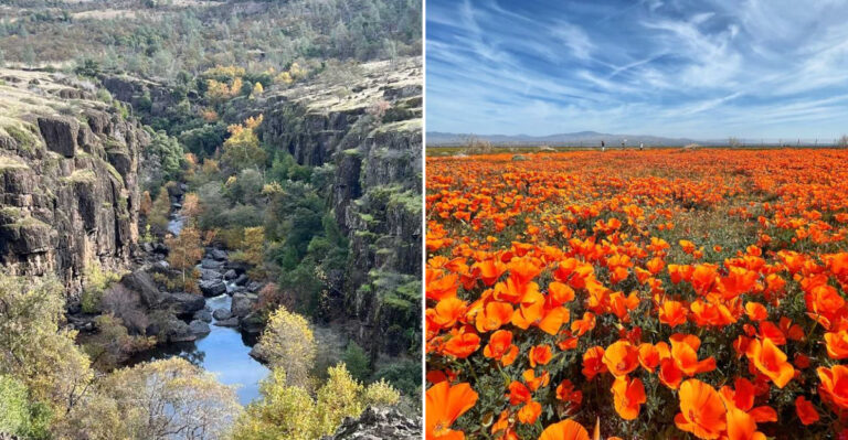 10 California Day Trips That Give You A Vacation Feel Without Breaking $50