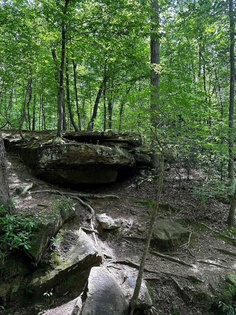 Bear Creek Outcroppings Trail (Tishomingo State Park)