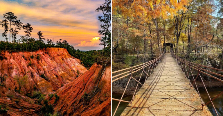 10 Mississippi Nature Hikes Under Two Miles That Pack More Drama Than You’d Expect
